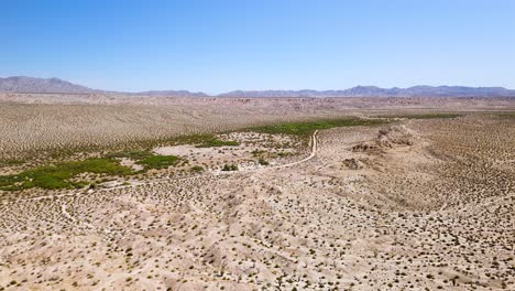 Desert-Landscape-With-Ocotillo-Plants-Growing-In-California,-USA