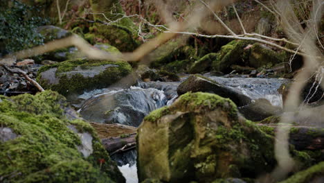 Flowing-Stream-between-mossy-rocks-in-wilderness