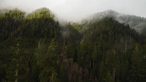 Toma-Aérea-De-Montañas-Boscosas-En-El-Noroeste-Del-Pacífico-Con-Nubes-Brumosas-Y-Exuberantes-árboles-Verdes,-EE.UU.