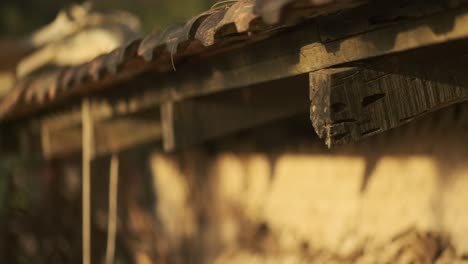 Wooden-beam-holing-up-a-tiled-roof-eaten-by-termites