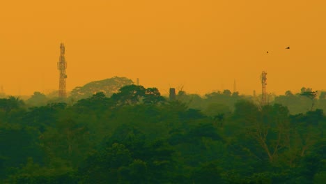 Signalturm-Im-Regenwald-Gegen-Orangefarbenen-Himmel-Bei-Sonnenuntergang---Aufnahme-Aus-Niedrigem-Winkel