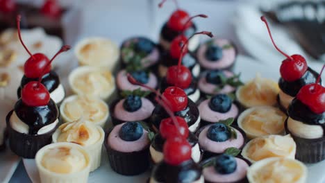 Various-small-desserts-with-berries-on-buffet-plate,-pull-out-close-up