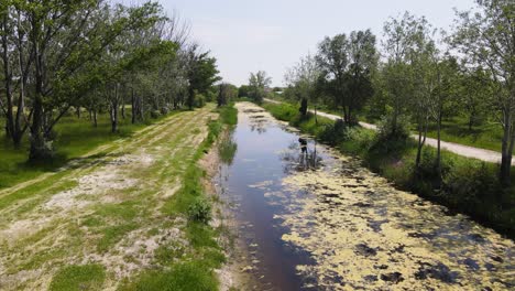 Río-Con-Algas-Durante-El-Día-En-Szalkszentmarton,-Hungría