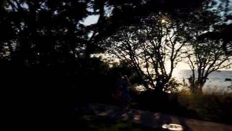 Gotland-seascape-visible-behind-trees-during-sunset,-drive-by-view