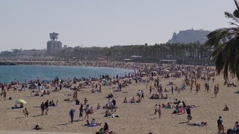 Concurrida-Playa-De-Barcelona-En-Verano-Con-Palmeras-Y-Paisaje-Urbano