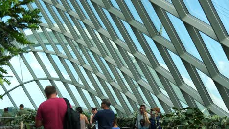 Tilt-down-from-greenhouse-windows-reveals-tourists-walking-on-the-aerial-walkway-of-the-cloud-forest-conservatory-at-Gardens-by-the-bay-in-Singapore