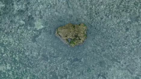 Top-Down-Slow-Motion-Drone-View-of-Waves-crashing-over-shallow-coral-reef-and-big-rock-in-Uluwatu-Bali-Indonesia