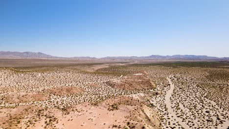 Plantas-De-Ocotillo-Que-Crecen-En-El-Paisaje-Desértico-De-California,-EE.UU.