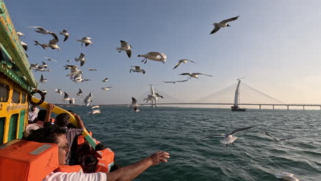 Embark-on-captivating-journey-as-seagulls-flock-near-boat-of-tourists-sporting-life-jackets,-complemented-by-the-grandeur-of-newly-completed-bridge-over-the-sea