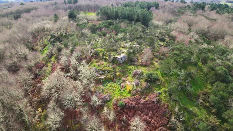 Aerial-View-Celtic-Fort-A-Bariña,-Xunqueira-de-Ambia,-Spain