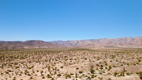 Semi-arid-Desert-Landscape-With-Ocotillo-Plants-In-California,-USA