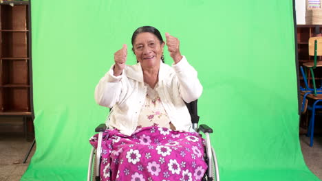 Allgemeine-Aufnahme-Einer-älteren-Frau-Im-Rollstuhl