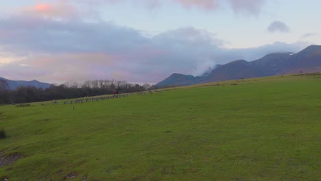 Walkers-walk-through-the-green-fields-and-hills-of-Cumbria-past-a-flock-of-wild-ducks