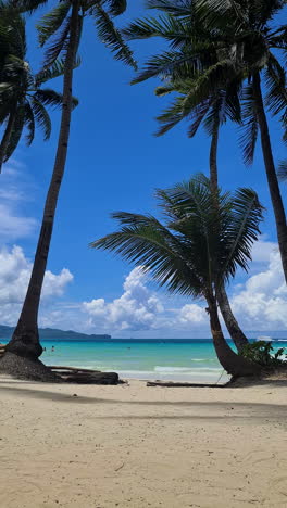 Vertical-Video,-Palm-Trees-and-White-Sand-Beach-on-Boracay-Island,-Philippines