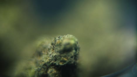 Macro-rotating-dreamy-video-of-a-cannabis-plant,-hybrid-strains,-sativa,-marijuana-flower,-slow-motion-120-fps,-studio-lighting,-glowing-depth-of-field