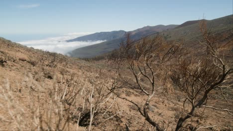 Parque-Nacional-Del-Teide,-Tenerife,-España