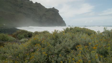 Playa-de-la-Arena-is-a-popular-cove-with-a-wide-stretch-of-black-sand