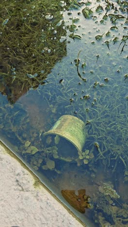 Plastikmüll-Im-Park-Nach-Der-Überschwemmung