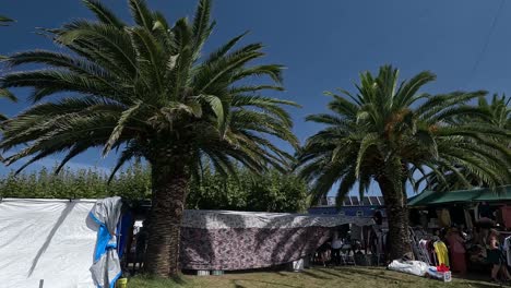 Street-shops-among-palm-trees-on-the-street,-selling-counterfeit-clothes,-shoes-and-fashion-accessories,-at-dawn-on-a-sunny-and-warm-summer-day,-shot-turning-right