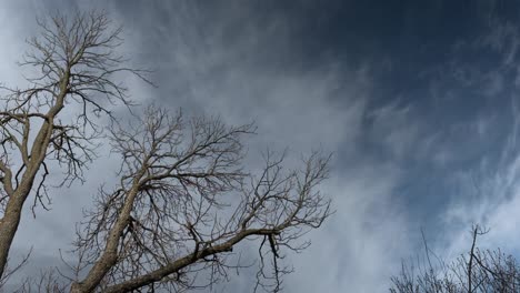 Beautiful-Nature-Timelapse,-Clouds-Moving-Over-Old-Tree
