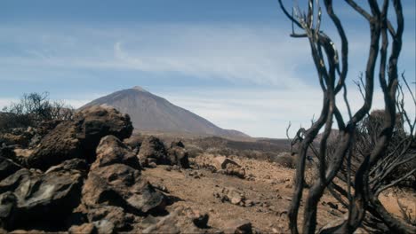 Burned-Area-After-Wildfire-in-Tenerife,-Canary-Islands