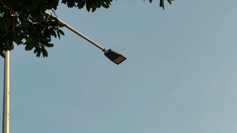 a-led-lamp-near-green-tree