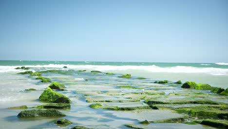 Wellen-Treffen-Auf-Einen-Fleck-Mit-Hellgrünen,-Moosbedeckten-Steinen-Am-Strand