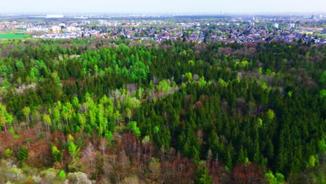 Weitläufige-Luftaufnahme-Des-Waldes,-Der-An-Die-Stadtgrenze-Grenzt