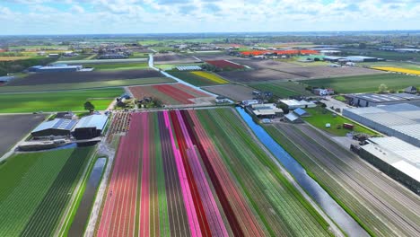 Clouds-moving-and-casting-shadow-over-colorful-flower-fields