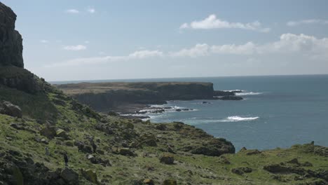 Static-shot-of-tourists-exploring-Lunga-island-during-the-puffin-breeding-season