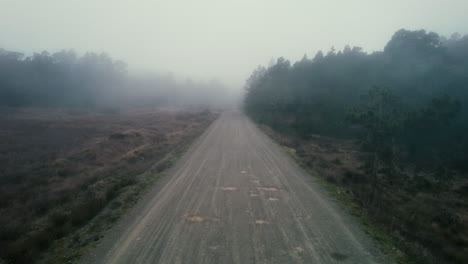 Geheimnisvoll-Verlassen-Mit-Mystischem-Nebel-In-Der-Natur-Des-Nationalparks-In-Der-Dominikanischen-Republik