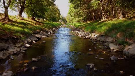 Fluss-Mit-Steinen-Und-Bäumen-Am-Rande,-Filmischer-Drohnenschuss,-Österreich