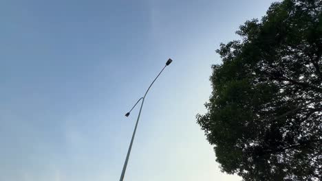 A-single-Y-shape-led-light-near-big-green-tree-during-blue-sky