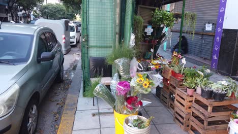 Traditional-flowers-store-woman-sell-plants-colorful-bouquets-in-latin-avenue,-streets-with-car-traffic