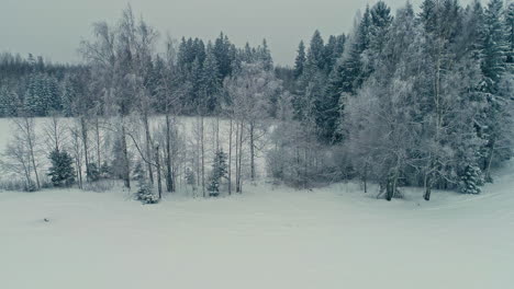 Weekend-getaway-on-a-rural-countryside-with-cabin-house-and-sauna-in-winter