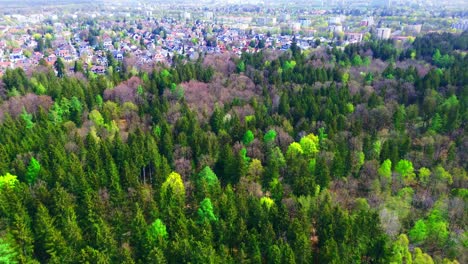 Aerial-View-of-Lush-Forest-Bordering-Urban-Area-in-Spring