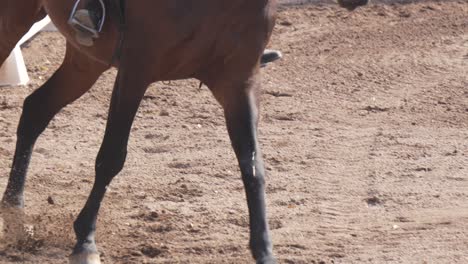 Close-up-of-horse-legs-competing-in-dressage,-Olympic-discipline