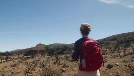 Woman-scientist-examines-the-burnt-earth-and-vegetation-in-the-park-after-the-fire