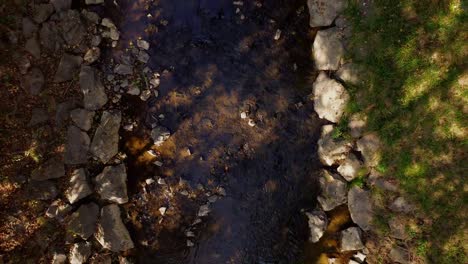 River-with-stones-and-trees-byside-top-down-droneshot