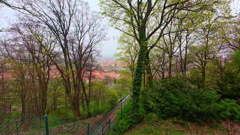 Techos-De-Tejas-Rojas-Del-Casco-Antiguo-Visto-Desde-Un-Mirador-Rodeado-De-Bosque