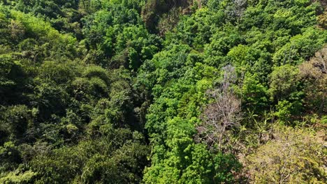 A-top-down-view-of-a-vast-green-forest-in-Songklaburi,-Thailand,-showcasing-the-lush-expanse-of-nature