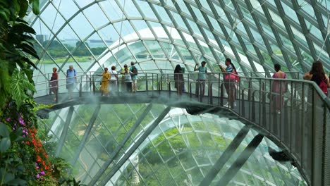 Visitors-stroll-along-the-aerial-walkway-inside-Cloud-Forest-greenhouse-conservatory-at-Gardens-by-the-Bay-in-Singapore,-misty-water-spray-used-for-temperature-control,-creating-a-magical-atmosphere