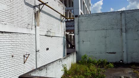 Die-Natur-Erobert-Langsam-Ihr-Territorium-Zurück,-Mit-Ranken-Der-Vegetation,-Die-Sich-Durch-Risse-Im-Beton-Schlängelt