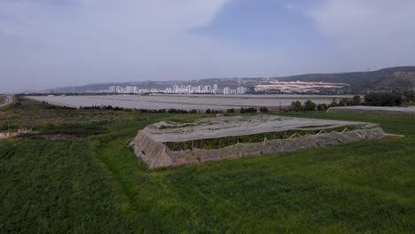 Rural-greenhouse-with-cityscape-in-the-distance