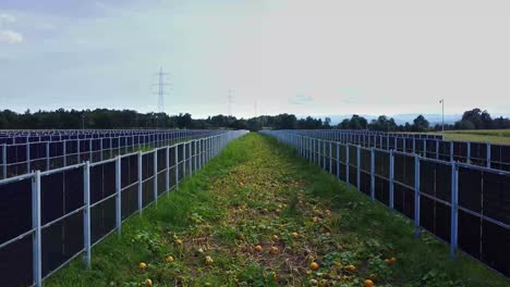 Empuje-Aéreo-A-Través-De-Granja-Solar