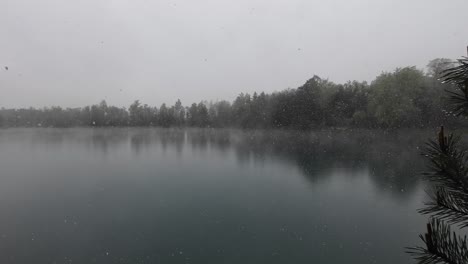 Big-Snow-Flakes-are-falling-on-Mystical-Lake-with-pine-tree-in-foreground-and-forest-in-background