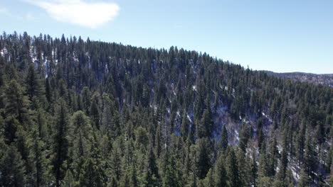 Aerial-view-of-a-New-Mexico-mountain-tilts-down-to-show-dense-pine-tree-forest-and-snow