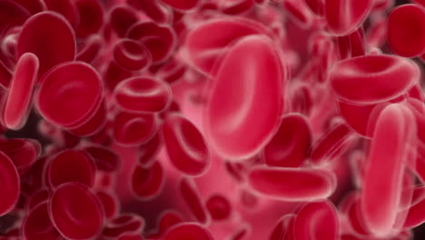 Medical-Background-Of-Red-Blood-Cells-Streaming-In-An-Artery,-Moving-In-The-Blood-Stream-In-Vein