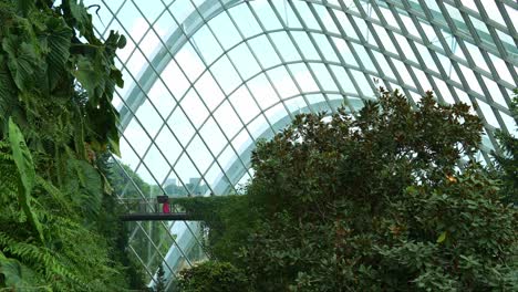 Tourists-walking-on-the-aerial-walkway-of-the-cloud-forest-greenhouse-conservatory-at-Gardens-by-the-bay-in-Singapore,-handheld-motion-shot