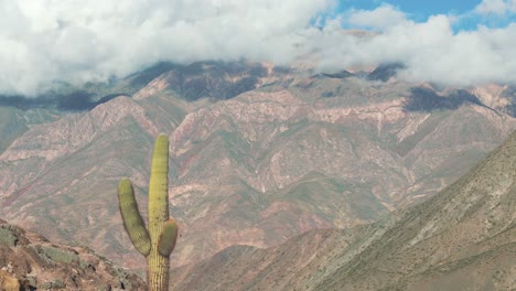 Un-Cactus-Solitario-En-La-Cima-De-Una-Montaña-Imponente-En-Medio-De-Los-Andes